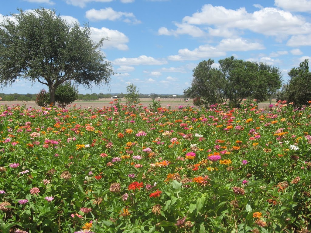 Choose Your Own Adventure