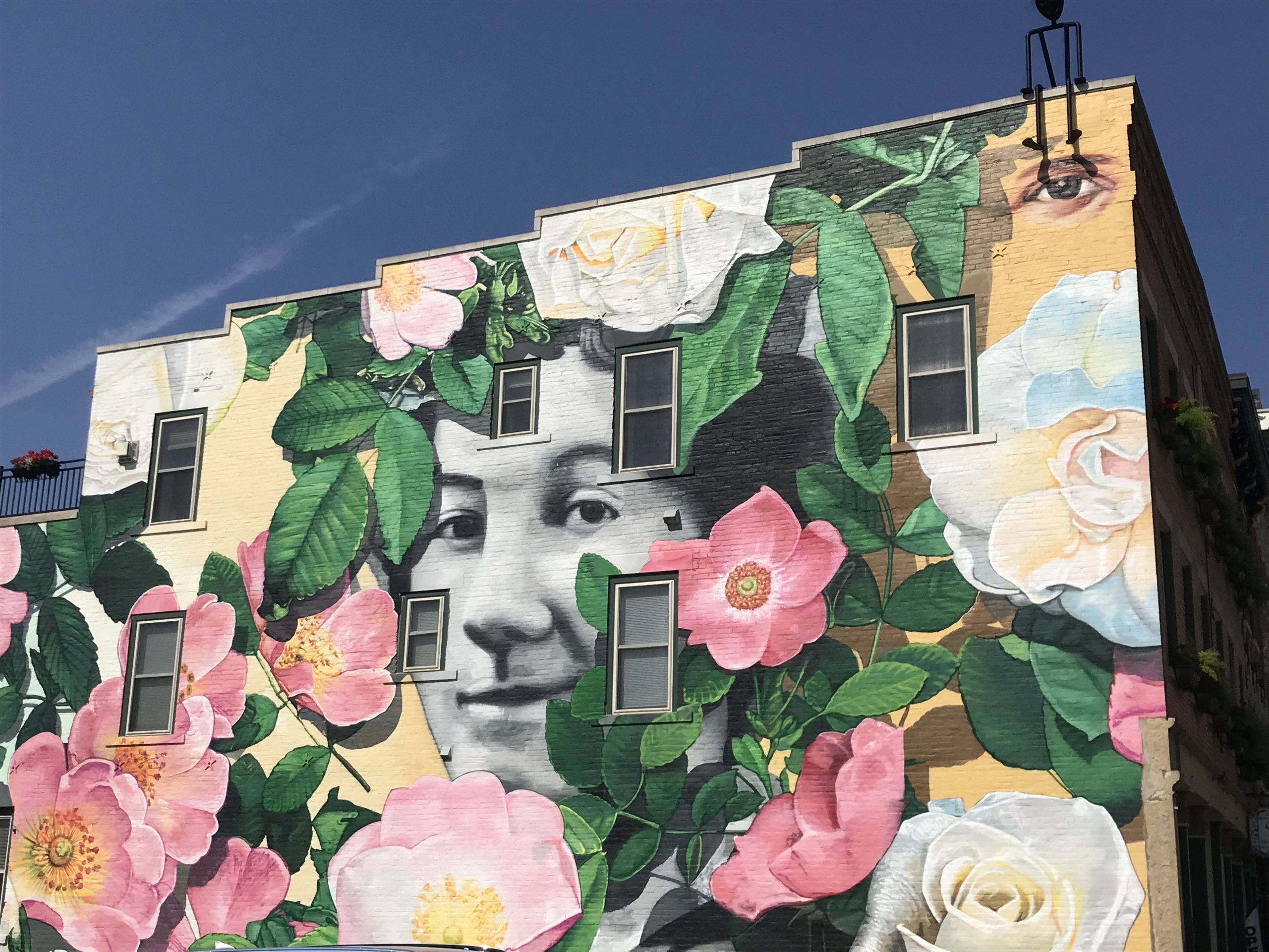 A New Survival Strategy – the Artist’s Edition